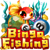 Bingo Fishing on 8xx01 top