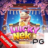 Lucky Neko on 8xx01 top